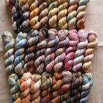 Day at the Museum Complete Collection