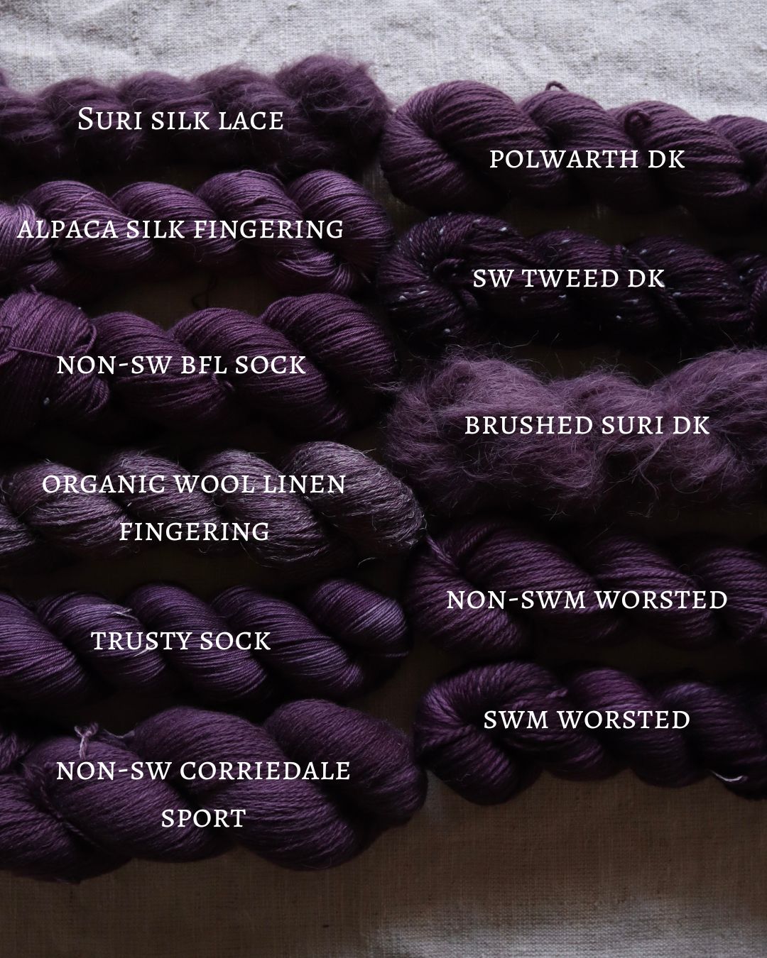 READY-TO-SHIP - Shibazuke