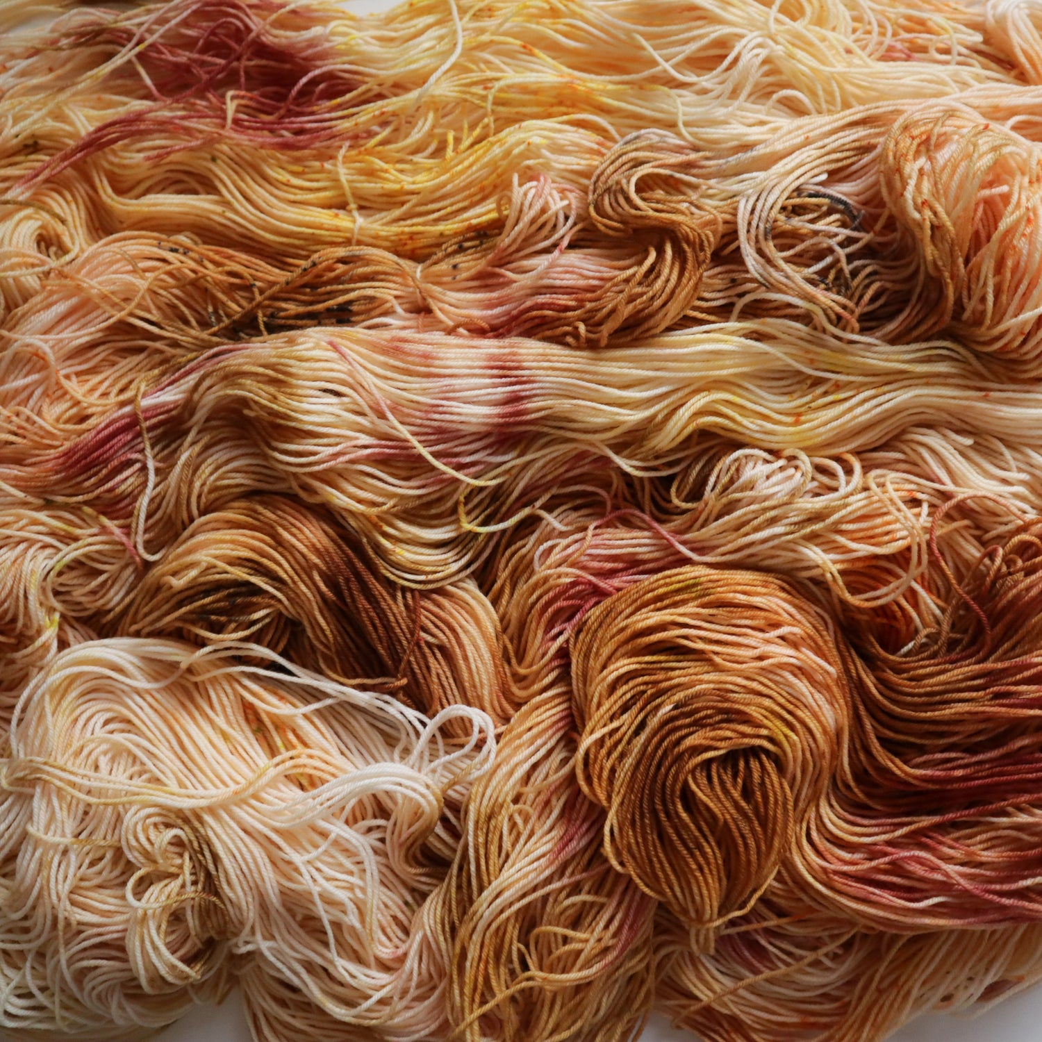 Preorder - Over the Garden Wall